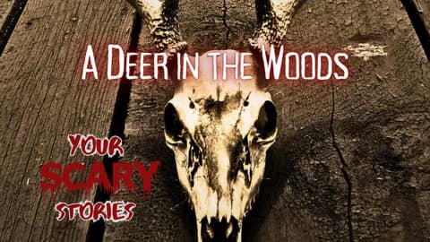 A Deer in the Woods true scary story A Deer in the Woods true scary story