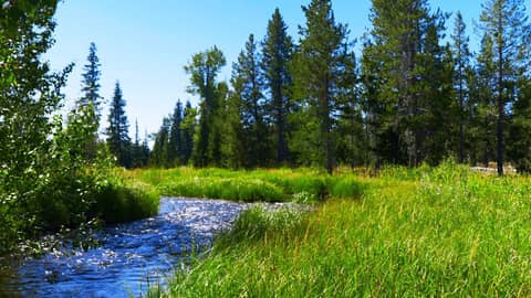 Water Sounds Alpine Creek | Relax, Study or Sleep with Nature White Noise