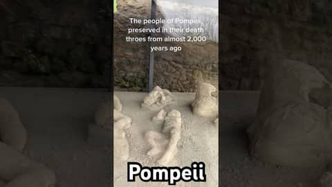 The plaster casts of #pompeii #ancientrome #mountvesuvius #juliuscaesar #history
