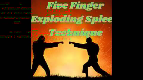 S4: Client 11 - Five Finger Exploding Spleen Technique