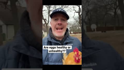 Are Eggs healthy or unhealthy? #eggs #nutrition #choline #freerangechickens #mortgage