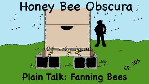 Plain Talk: Fanning Bees (205)