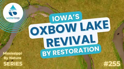 Iowa's Oxbow Lake Revival By Restoration