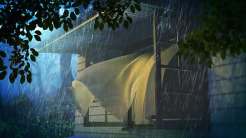 Heavy Rain Sounds for Sleeping | Rainstorm White Noise Black Screen