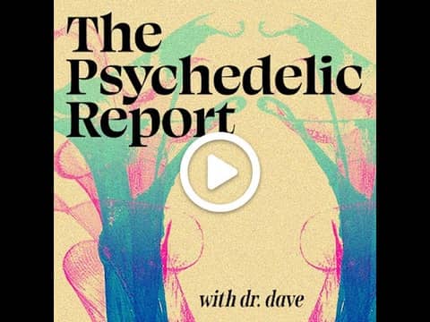 Dr. Dave | The Psychedelic Report Intro