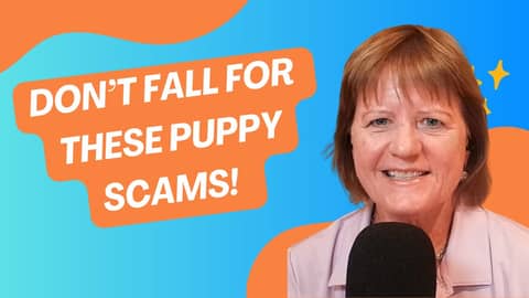 Unmasking Puppy Scams: Protect Yourself Online