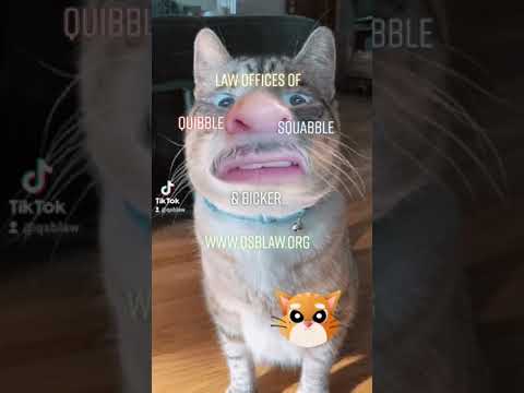 TikTok: S1: Our Ninth Client - Vacations: Friend Or Foe?