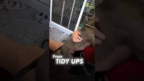 Spend a day on the road with a Jim’s Dog Wash franchisee #jimsgroup #franchise #franchising