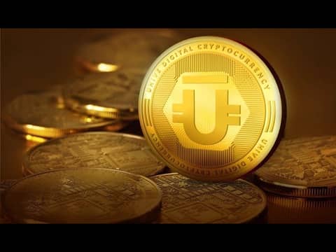 They're not lawyers, so what are the Law Offices of Quibble, Squabble & Bicker? Stupid or brilliant?