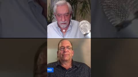 Why anti-itch drugs and pesticides may harm your pet Why anti-itch drugs and pesticides may harm your pet