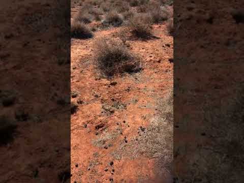 Roadside Reviews Episode I