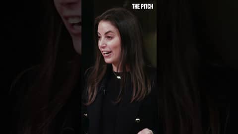 Is it a purse or a lunchbox? The Pitch for Modern Picnic