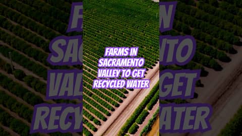 How Sacramento is Turning Wastewater into a Lifeline for Farms
