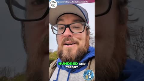 Blue Jays SWEEP! Springer, Sanchez & Okamoto Homer! #shorts