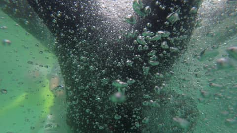 SWET Training in Haiti!