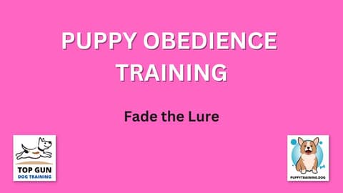 Part 15 - Fade the Lure