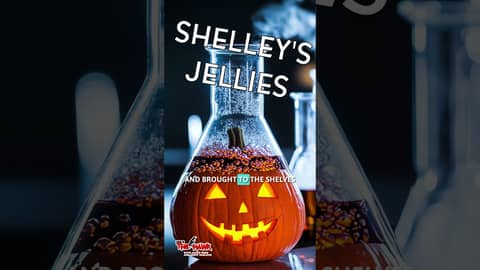 SHELLEY'S JELLIES