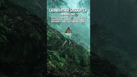 A white giant standing beside a Douglas fir in British Columbia