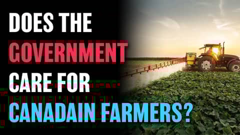 Does The Government Care for Canadian Farmers