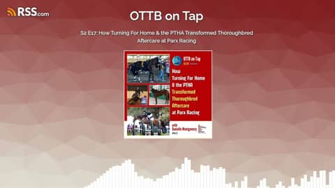 S2 E17: How Turning For Home & the PTHA Transformed Thoroughbred Aftercare at Parx Racing S2 E17: How Turning For Home & the PTHA Transformed Thoroughbred Aftercare at Parx Racing