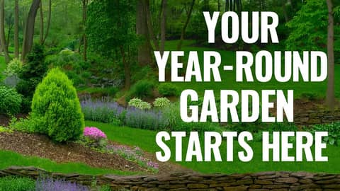 A Garden for All Four Seasons: 20 Years in the Making