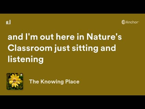 The Knowing Place Podcast: Protect Your Peace!