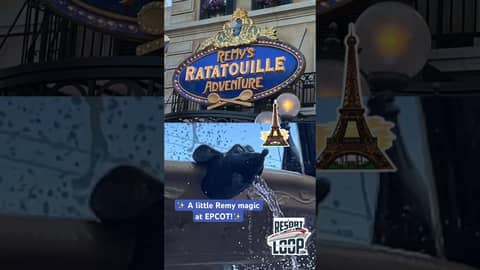 A Moment of EPCOT Magic