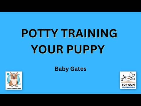 Part 14 - Baby Gates and Playpens