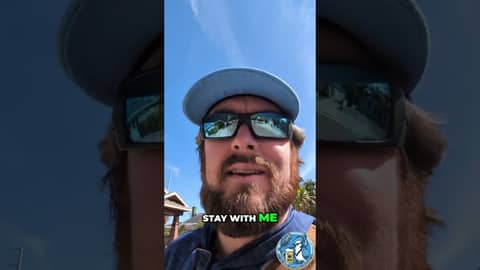 Blue Jays DOMINATE Yankees Farm Club! Spring Training Update! #shorts