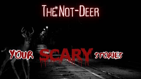 The Not-Deer true scary story The Not-Deer true scary story