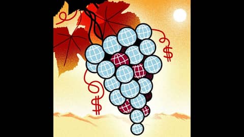 Episode 67-Climate Change In Italy, Unusual Varietals, Chinas Changing Taste