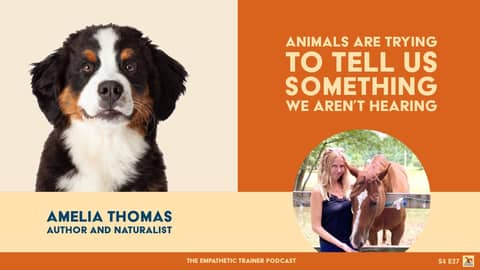 Listening Is Noticing — Amelia Thomas (S4 · E27)