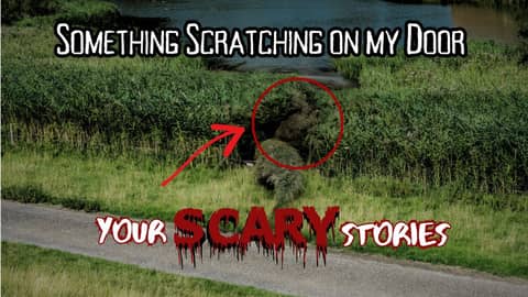 Something is Scratching on my Walls true scary story