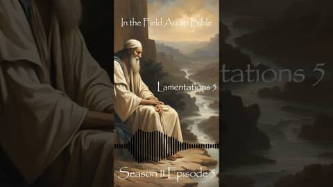 Finding Light in the Shadows of Despair