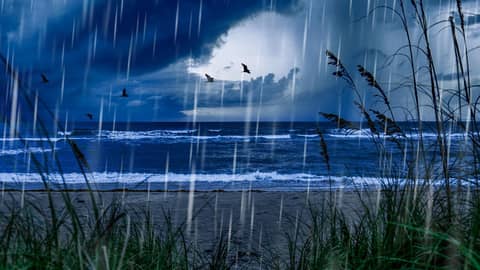 Rain Noise & Ocean Sounds for Deep Sleep
