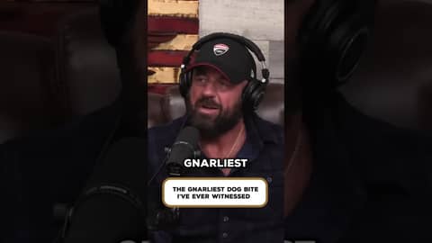 The Gnarliest K9 Bite I’ve Ever Seen