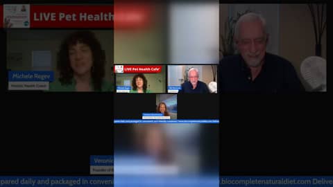 Inside-out healing: nutrition, Reiki, PEMF & animal communication