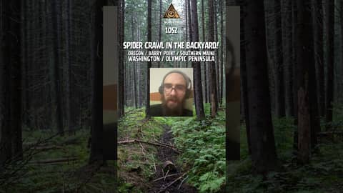 A wildland firefighter finds massive barefoot tracks 75 miles from civilization A wildland firefighter finds massive barefoot tracks 75 miles from civilization