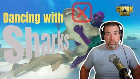 Shark Week 2025 Why Shark Week’s “Dancing With Sharks” Episode Got It So Wrong Shark Week 2025 Why Shark Week’s “Dancing With Sharks” Episode Got It So Wrong