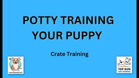 Part 12 - Crate Training