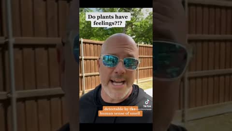 Do plants have feelings? #vegan #healthylifestyle #dfwmortgagelender Do plants have feelings? #vegan #healthylifestyle #dfwmortgagelender