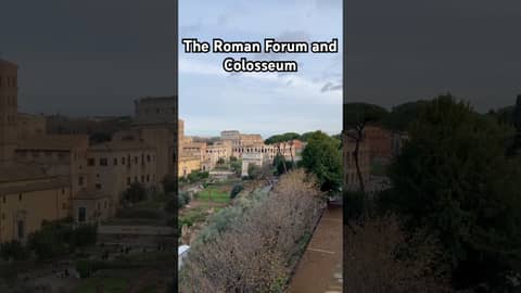 The #colosseum in #rome. #romanruins #romanforum #romanhistory #ancientrome #romans #ancienthistory