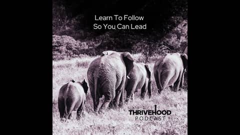 Learn To Follow So You Can Lead
