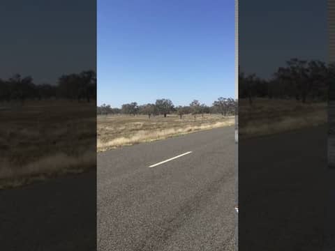 Roadside Haiku’s with Matt Fiction Episode IV - It may do a bit early