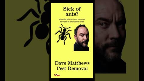 DAVE MATTHEWS PEST REMOVAL from 108.9 The Hawk #comedypodcast