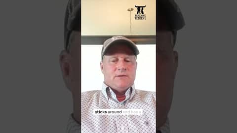 Episode 247 on Bull Development and Evaluation with Tyson Pharo, Rob Pierce and Brian Munger