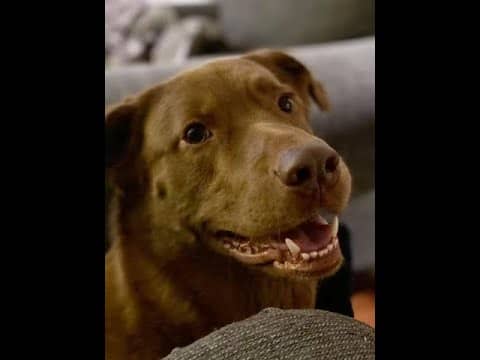 Culper's Canteen Cup S01E78