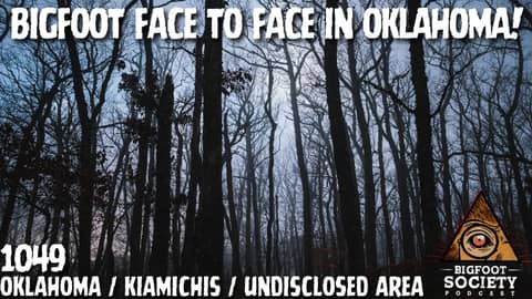 A Face in the Trees: Wild Bigfoot Activity in Southeast Oklahoma | Bigfoot Society 1049 A Face in the Trees: Wild Bigfoot Activity in Southeast Oklahoma | Bigfoot Society 1049