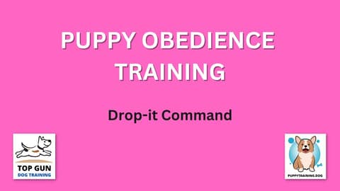 Part 19 - Drop It Command