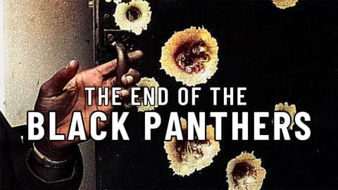The Black Panthers were DISMANTLED by the FBI (The Demise of the Black Panthers) #onemichistory The Black Panthers were DISMANTLED by the FBI (The Demise of the Black Panthers) #onemichistory